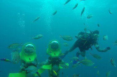 aquafari-image-1jpg.jpg