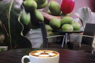 cafebarista.jpg