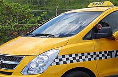 cat-taxi1.jpg