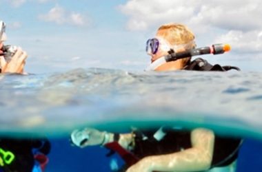 img-go-west-diving.jpg