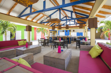 Palapa lounge en terras 1