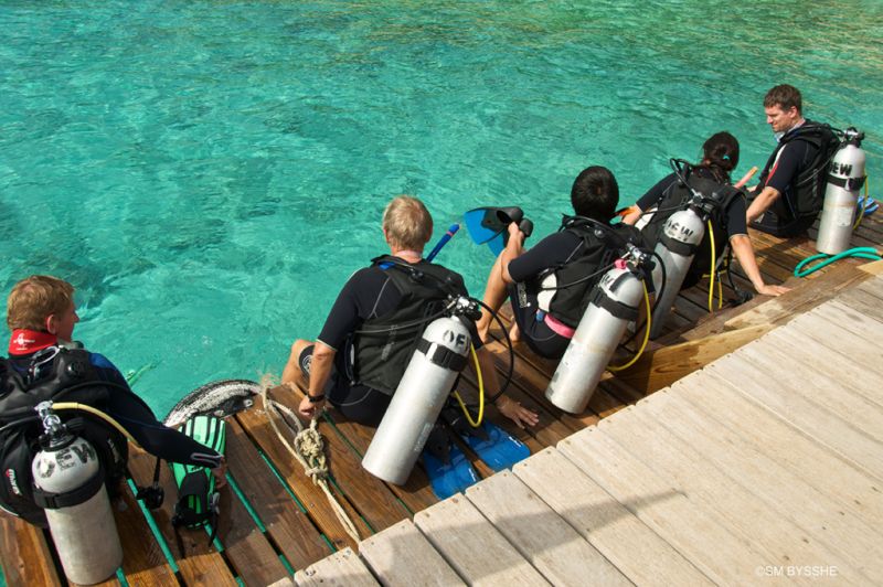 go-west-diving