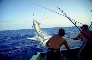 img-bounty-adventures-deepsea-fishing