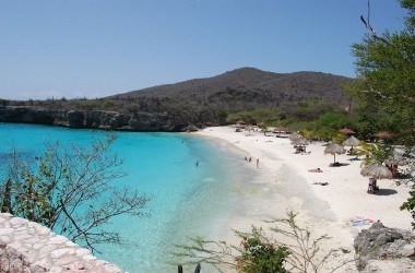 img-grote-knip.jpg