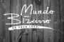 logo-mundobizarro