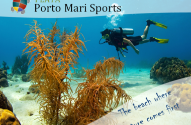 portomarisports-1app