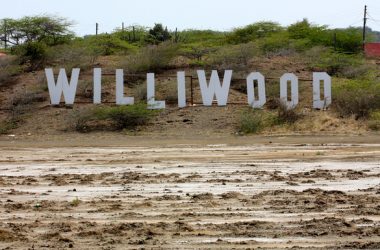 willywood